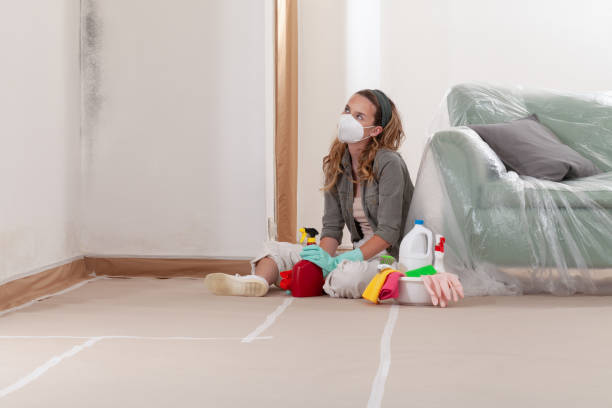 Reliable Crawl Space Mold Removal contractor in Arlington, WA by WQB Mold Removal